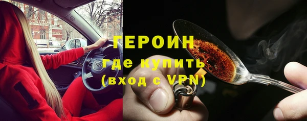 шишки Гусев