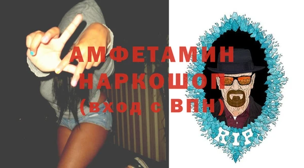 шишки Гусев