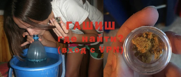 шишки Гусев