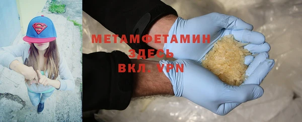 шишки Гусев