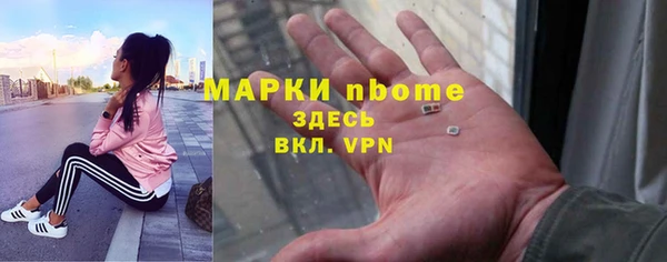 шишки Гусев