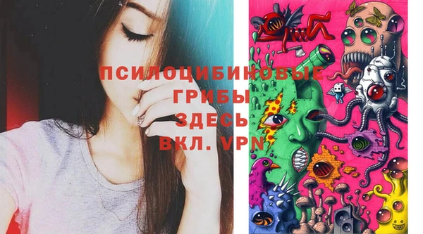 дживик Гусь-Хрустальный
