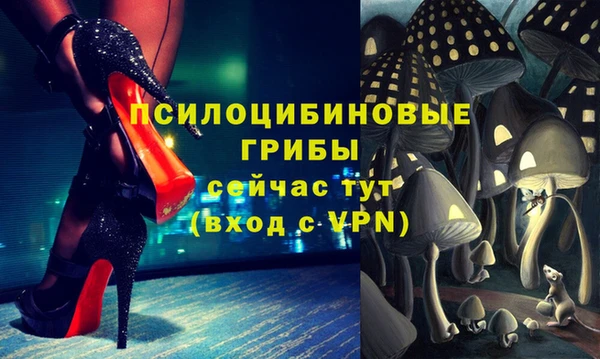 шишки Гусев