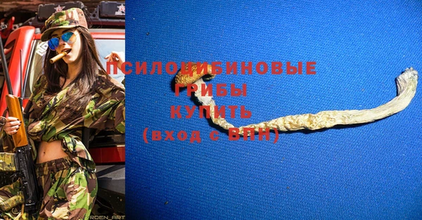дживик Гусь-Хрустальный