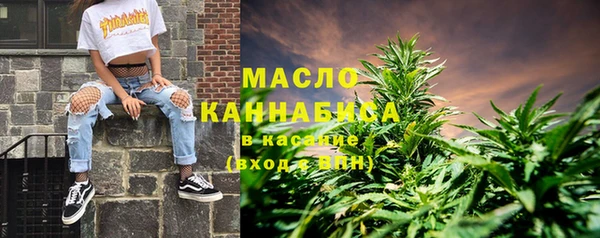шишки Гусев
