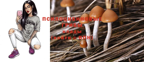 дживик Гусь-Хрустальный