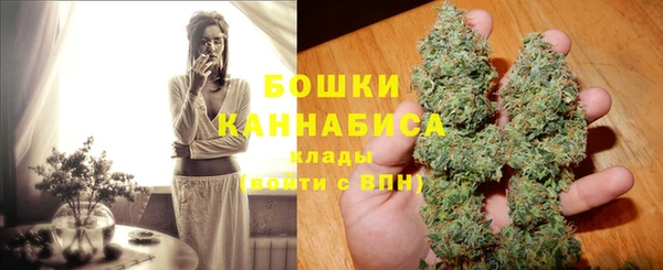 дживик Гусь-Хрустальный