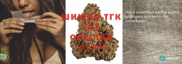 дживик Гусь-Хрустальный