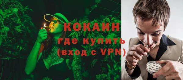 дживик Гусь-Хрустальный