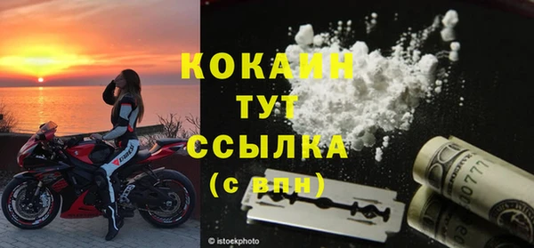 шишки Гусев