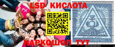 прущие грибы Гусев