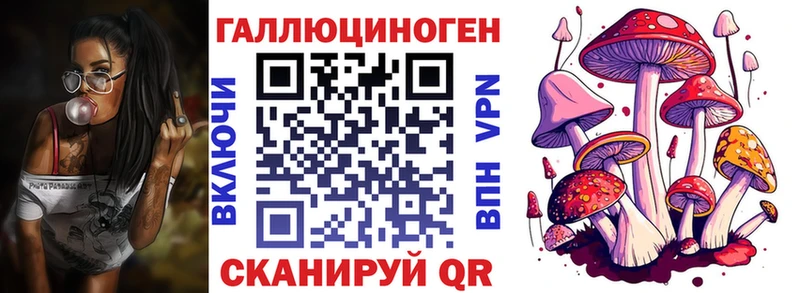 закладки  Воткинск  Псилоцибиновые грибы MAGIC MUSHROOMS 