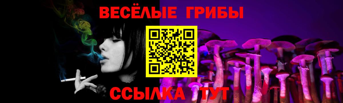 Псилоцибиновые грибы Cubensis Воткинск